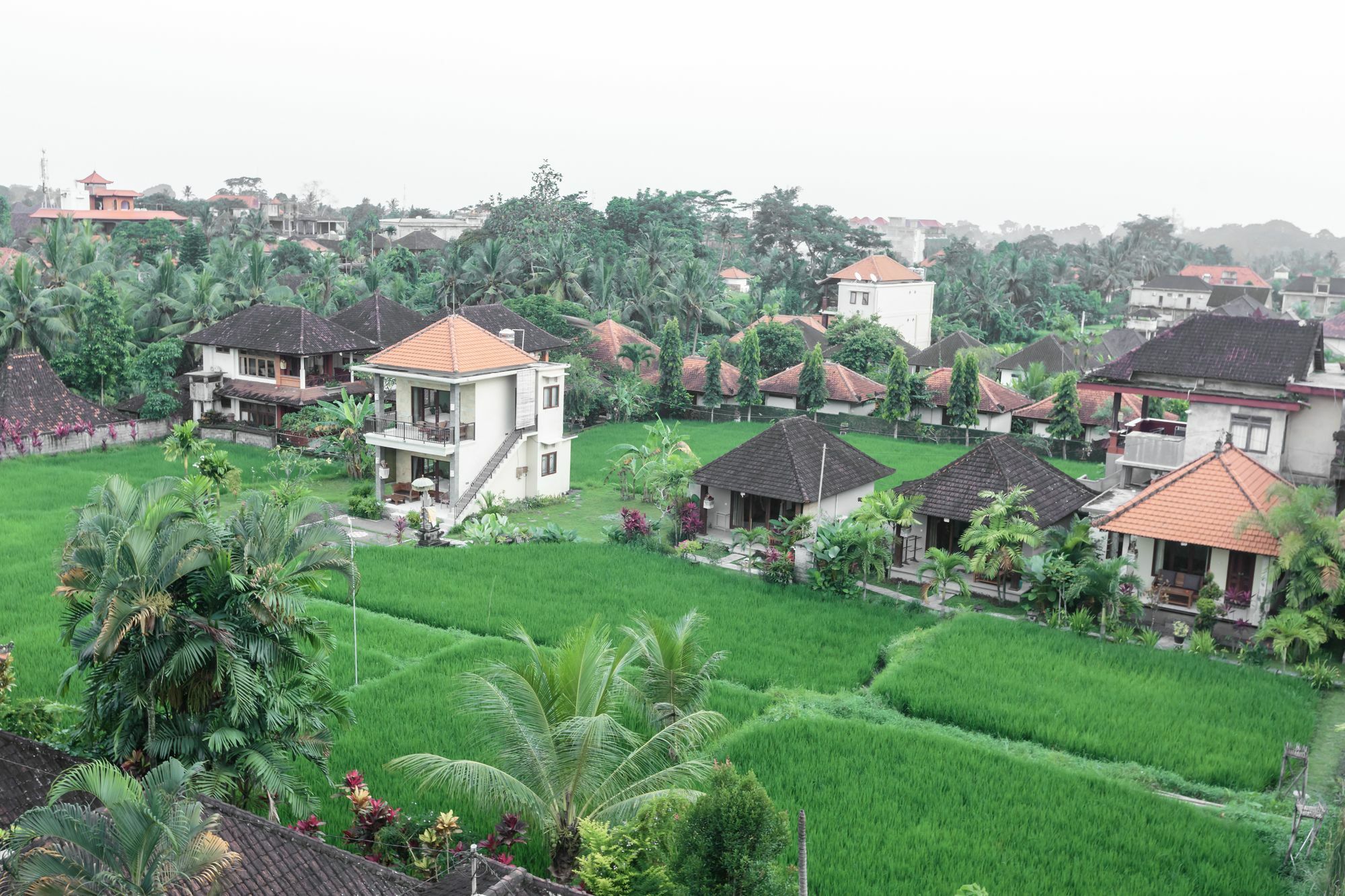 Hotel Warji House 2 Bisma Ubud Esterno foto